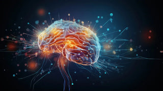 Importance of Mitochondria for Skin Health